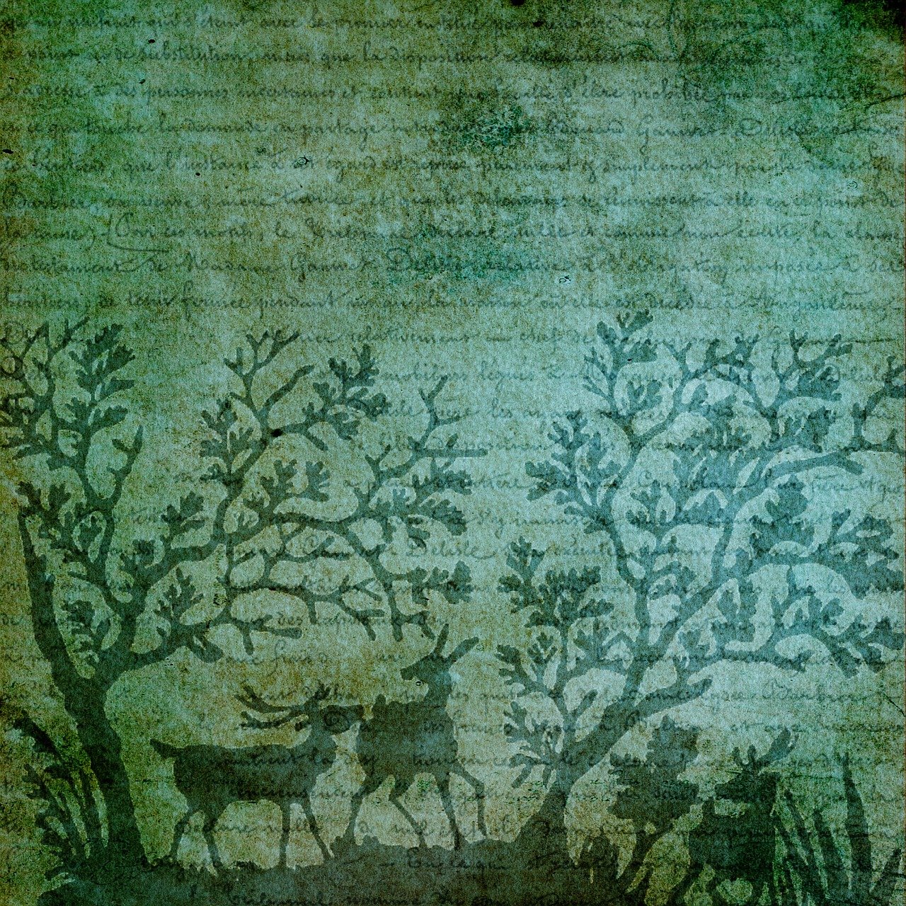 Michael Richter, B2B-Content-Marketing